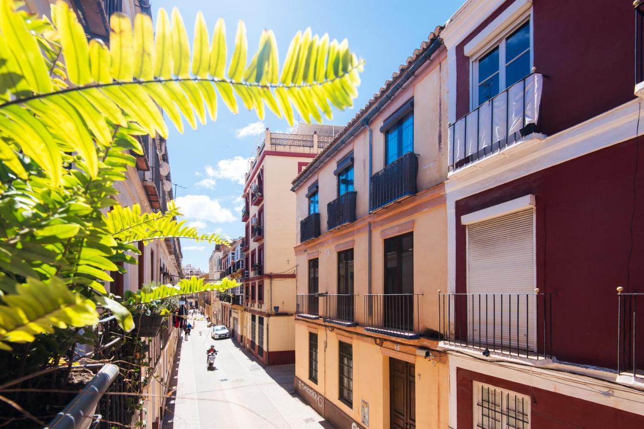 Malaga Tour Apartment- Elegance & Confort In The Historic Center エクステリア 写真